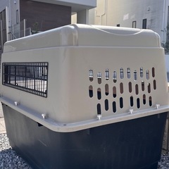 大型犬　バリケンネルの画像