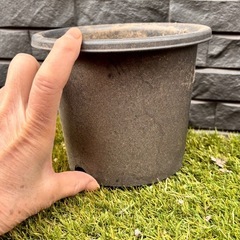 黒プランターの画像