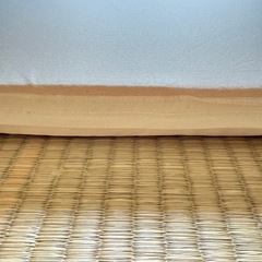 トゥルースリーパー(シングル)の画像