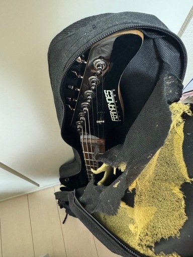 エレキギター fernandes
