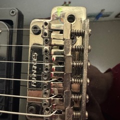 エレキギター fernandes
の画像