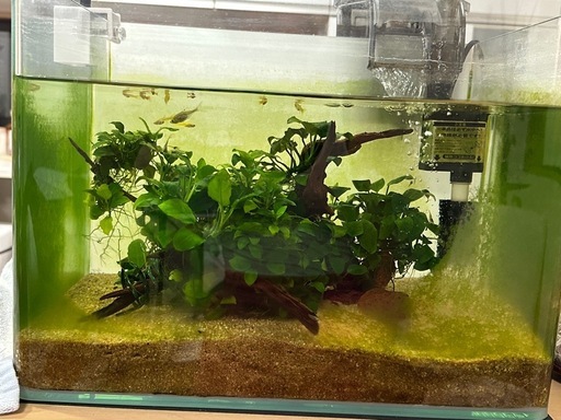 水槽すべて引き取ってくれる方 (あかね) 笠縫のその他の中古あげます