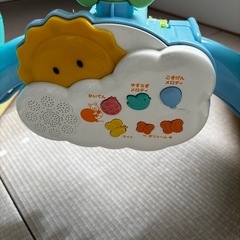 訳あり　プーメリーの画像