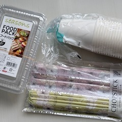 ピクニックセット　フードパック　使い捨て箸・スプーン デザートカップの画像