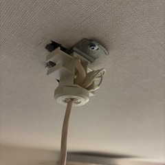 ダイコー　リビング　つり照明　DPN-39003Yの画像