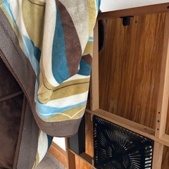 こたつの画像