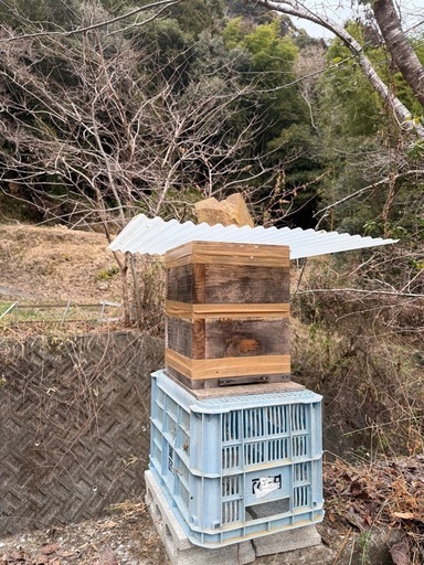日本みつばち飼育用巣箱　重箱式