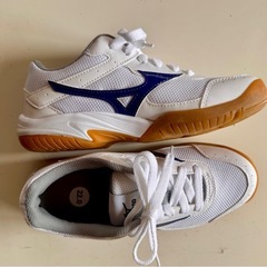 （未使用品）中学校上履きの画像