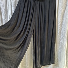 スカンツの画像