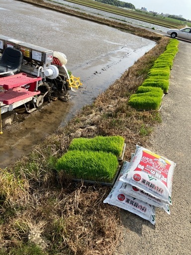 千葉県産コシヒカリ一等米30kg玄米①