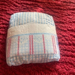 犬   おむつの画像