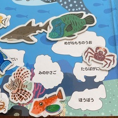 知育 えあわせパズル 水族館の画像