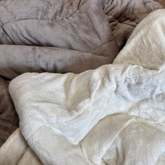 こたつ布団の画像