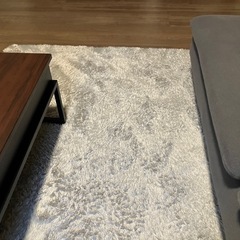 リビングマットと玄関マットの画像