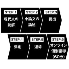 【文京区】東大・国立二次の記述で差をつける。元広尾学園講師の「国語・小論文」個別指導の画像