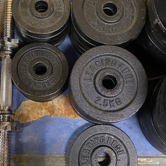 ※ ダンベル　LEADING EDGE リーディングエッジ バーベルプレート　計130KGの画像