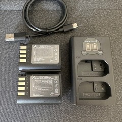 【丸型PSEマーク有】DMW-BLK22対応 充電器＋バッテリー2個の画像