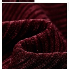 ワインレッド　ジャケットの画像