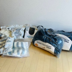 エアバギー ココダブルEX フロムバース アースブルー の画像