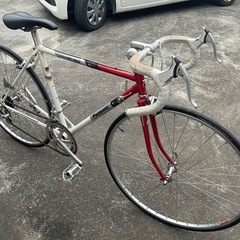 Panasonic   トライアスロン　PT-800  　中古（代理出品）の画像