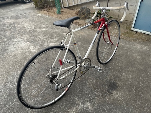 Panasonic   トライアスロン　PT-800  　中古（代理出品）取引き中❗️