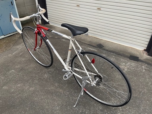 Panasonic トライアスロンPT-800 中古（代理出品） (ポンタくん) 岩宿