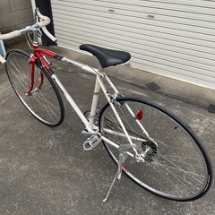 Panasonic   トライアスロン　PT-800  　中古（代理出品）の画像