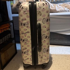 キャリーケース　スイマーの画像