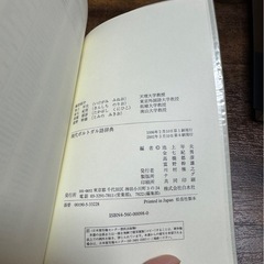 現代ポルトガル語辞典の画像