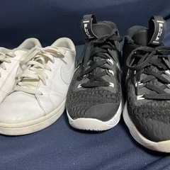 NIKEスニーカー　　バスケットシューズの画像