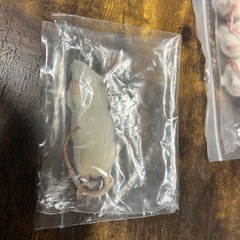 蛇の餌　アダルトマウスの画像