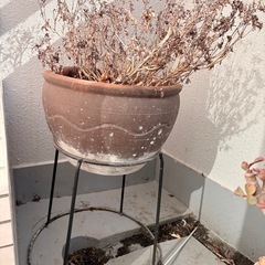 植木鉢   2つセットの画像