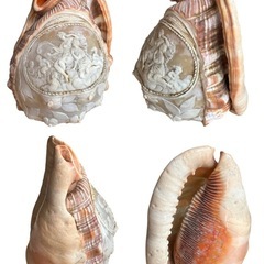 シェルカメオランプ イタリア製の画像