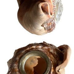 シェルカメオランプ イタリア製の画像