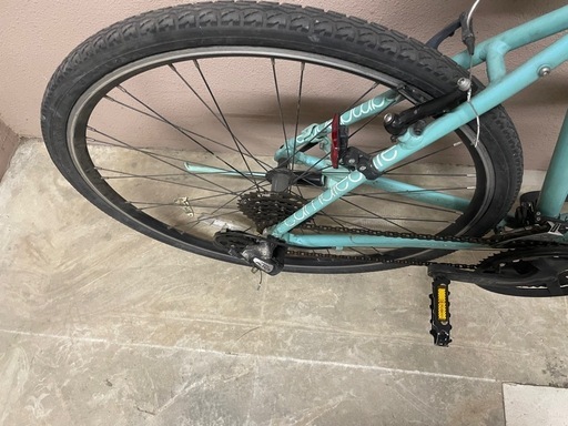 bianchi ビアンキ　カメレオンテ　サイズ52