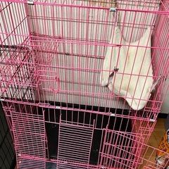 ペット用ゲージの画像