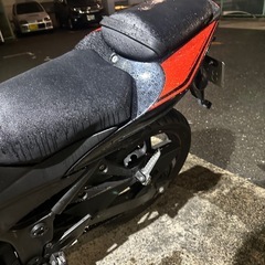 kawasaki ninja250r special edition 限定車の画像