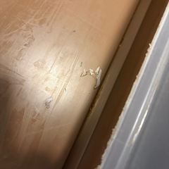 ペットケージ　小動物用の画像