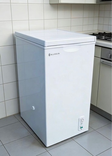 【至急❗️】冷凍ストッカー 冷凍庫 アレジア 家庭用 業務用 1ドア 63L 2020年製 AR-BD66