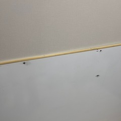 MONTHLY SCHEDULEホワイトボードの画像