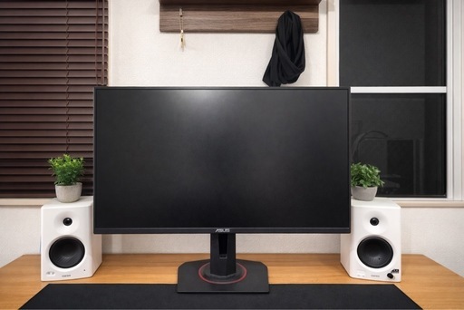 ASUS 165Hz/FHD(VG258QR-J) 