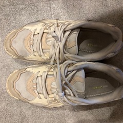 asics  25センチの画像