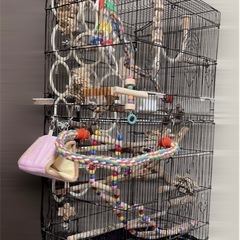 鳥籠の画像