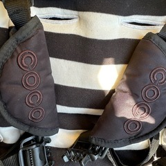 エアバギー　ココ　Air buggy cocoの画像