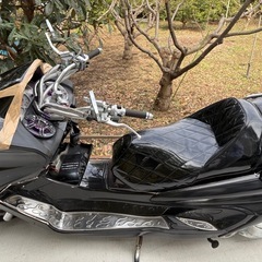 マジェスティ黒の画像