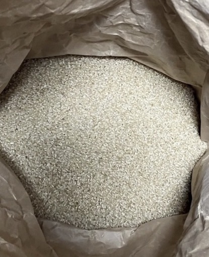 令和7年産　にこまる　10kg   玄米