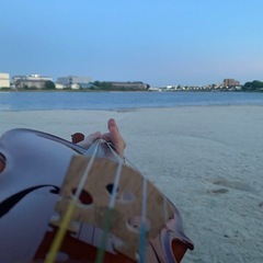 バイオリン貸します