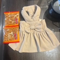 犬の服の画像