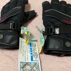 ボードグローブの画像