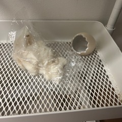 グラスハーモニー350の画像